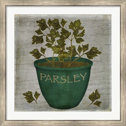 Framed Herb Parsley Print