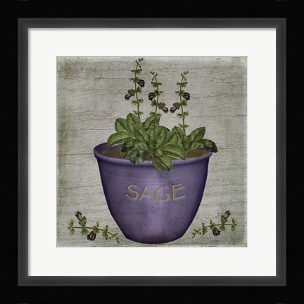 Framed Herb Sage Print