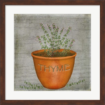 Framed Herb Thyme Print