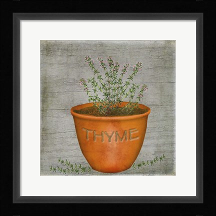 Framed Herb Thyme Print