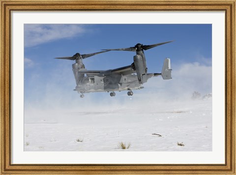 Framed CV-22 Osprey Takes Off Print