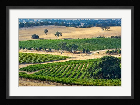 Framed Mountadam vineyard winery on High Eden Road, Barossa Valley, Australia Print