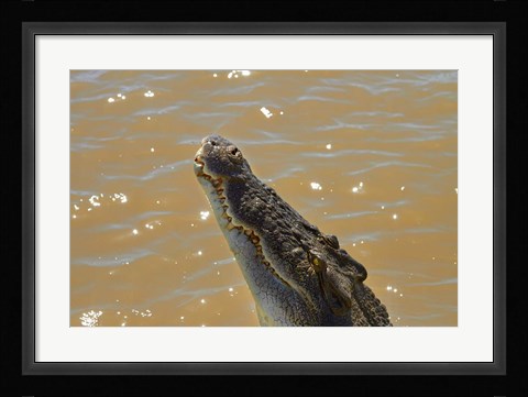 Framed Jumping Crocodile Cruise, Adelaide River, Australia Print