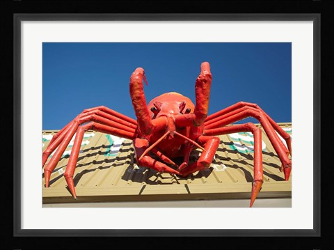 Framed Crustacean, Giant Lobster, Stanley, Tasmania, Australia Print