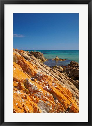 Framed Orange Lichen, Green Point, Ann Bay, Australia Print