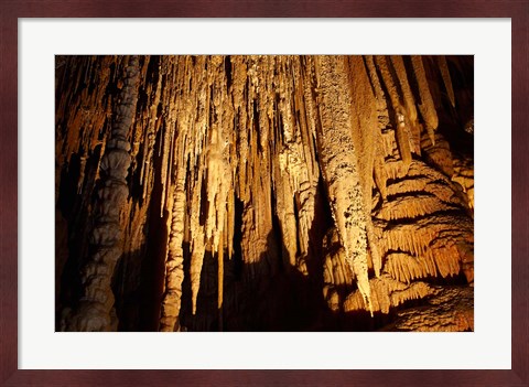Framed Stalactites, Newdegate Cave, Hastings Caves, Australia Print