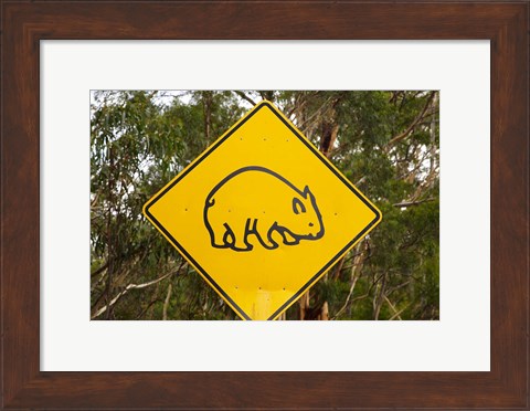 Framed Wombat warning sign, Tasman Peninsula, Australia Print