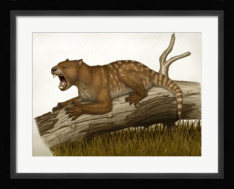 Framed Thylacoleo Carnifex Print