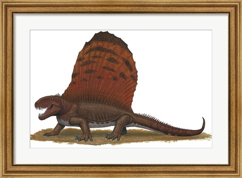 Framed Dimetrodon Print