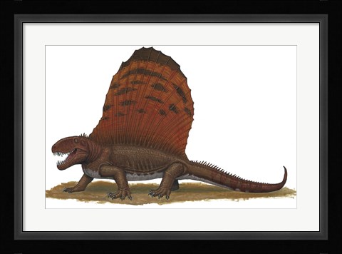 Framed Dimetrodon Print