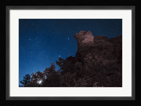 Framed Moon Rises through Trees in Oklahoma Print