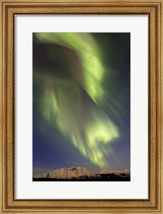 Framed Aurora Borealis over Emerald Lake, Canada Print