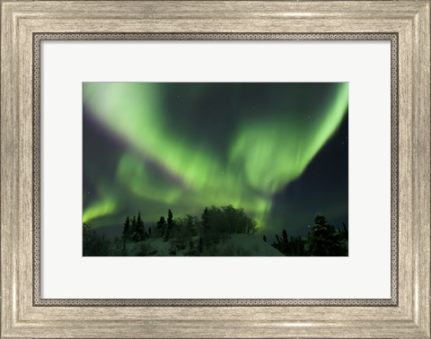 Framed Aurora Borealis Takes Flight Print