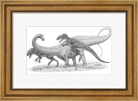 Framed Group of Allosaurus Attack a giant Diplodocus Print