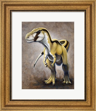 Framed Megalosaurus, a Large Meat-Eating Dinosaur of the Jurassic period Print