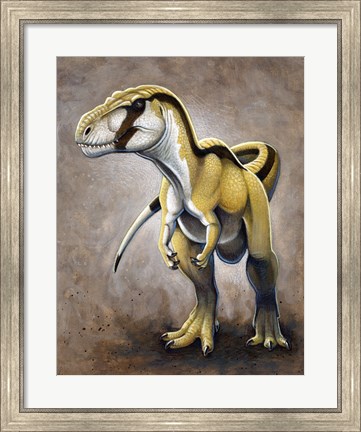 Framed Megalosaurus, a Large Meat-Eating Dinosaur of the Jurassic period Print