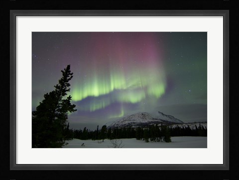 Framed Red and Green Aurora Borealis over Carcross Desert, Canada Print