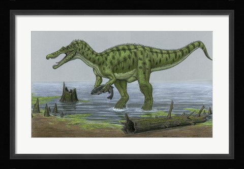 Framed Baryonyx Walkeri Catches a Fish Print