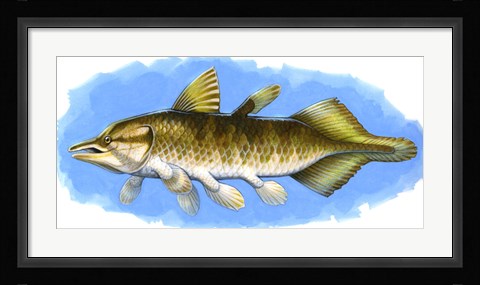 Framed Chinlea Print