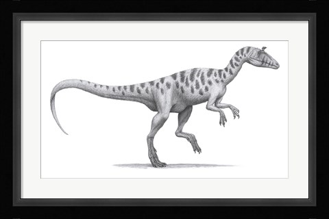 Framed Cryolophosaurus Elliotti Print