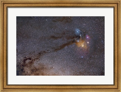 Framed Rho Ophiuchus Area in Sagittarius Print