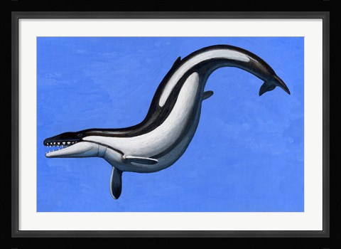 Framed Basilosaurus Print
