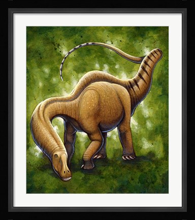 Framed Apatosaurus Print