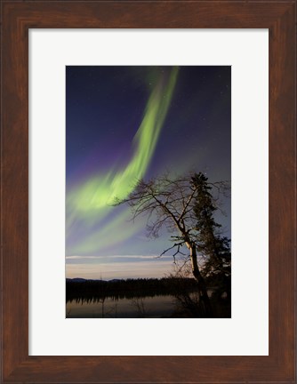 Framed Aurora Borealis over the Yukon River, Whitehorse, Canada Print