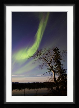 Framed Aurora Borealis over the Yukon River, Whitehorse, Canada Print