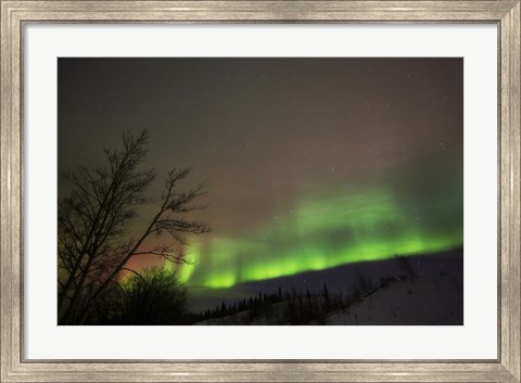 Framed Aurora Borealis, Twin Lakes, Yukon, Canada Print
