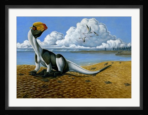 Framed Dilophosaurus on the beach Print
