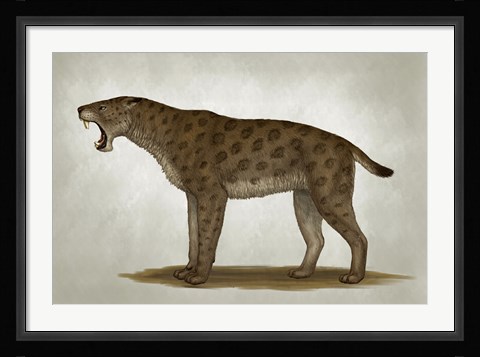 Framed Homotherium Latidens Print