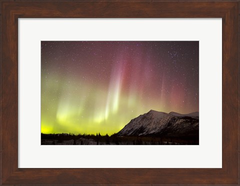 Framed Red Aurora Borealis over Carcross Desert, Canada Print