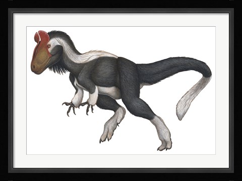 Framed Cryolophosaurus Print