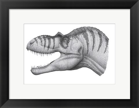 Framed Headshot of an Albertosaurus Sarcophagus Print