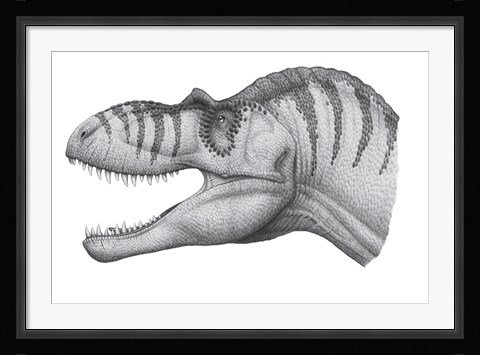 Framed Headshot of an Albertosaurus Sarcophagus Print