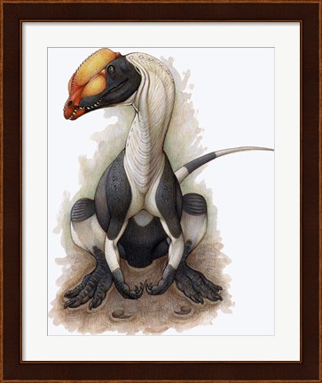 Framed Dilophosaurus Print