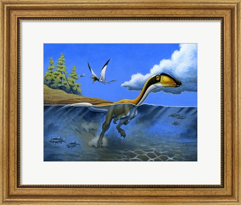 Framed Megapnosaurus Dinosaur Goes for a Swim Print