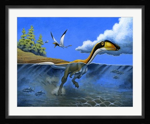 Framed Megapnosaurus Dinosaur Goes for a Swim Print