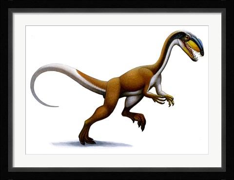 Framed Megapnosaurus Print