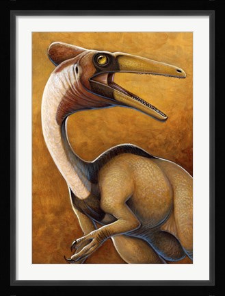 Framed Pelicanimimus Print