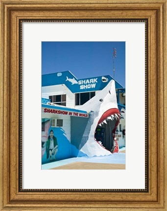 Framed Australia, Queensland, Hervey Bay, Shark Show Print