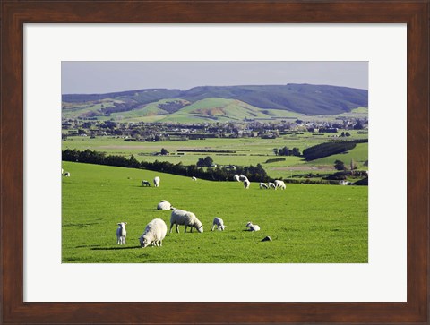 Framed Farmland at Milburn, South Otago, South Island, New Zealand Print