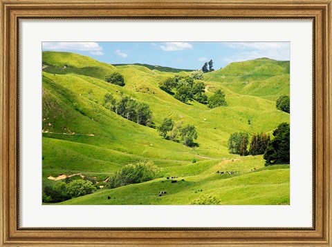 Framed Farmland near Gisborne, New Zealand Print