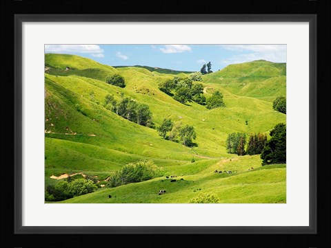 Framed Farmland near Gisborne, New Zealand Print
