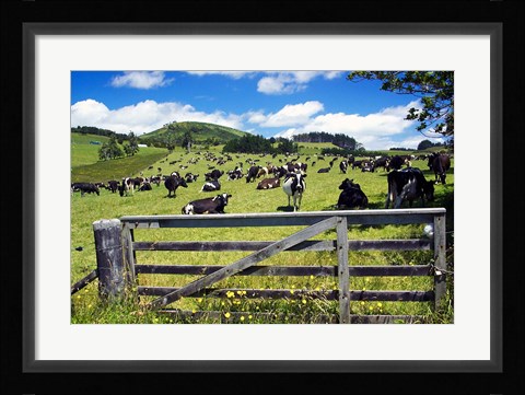 Framed Gate and Dairy Farm near Kaikohe, Northland, New Zealand Print
