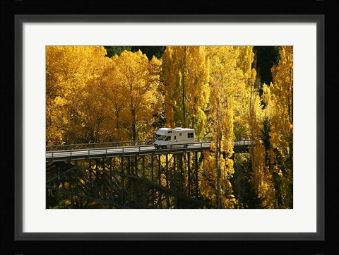 Framed Autumn Colors, Victoria Bridge, Kawarau Gorge, South Island, New Zealand Print