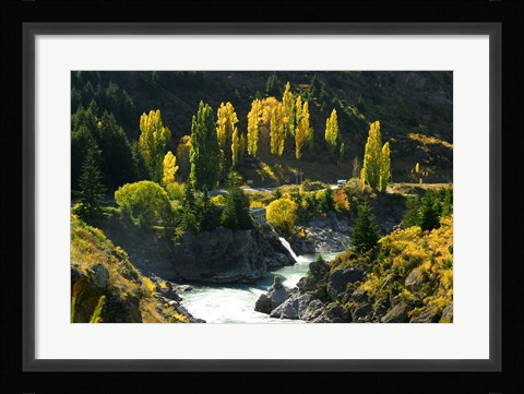 Framed Autumn Colours, Kawarau River, Kawarau Gorge, South Island, New Zealand Print