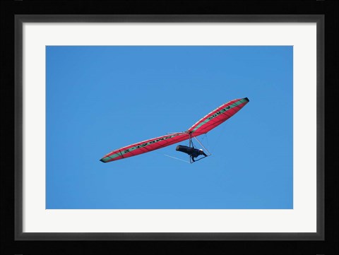 Framed Hang glider, Otago Peninsula, South Island, New Zealand Print