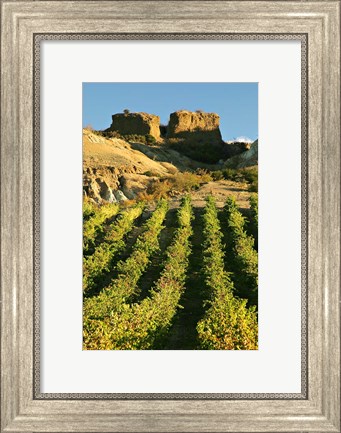 Framed Mt Difficulty Vineyard and Historic Sluicings, Bannockburn, South Island, New Zealand Print
